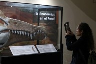 "Espinosaurios en el Perú": ¿qué se sabe del dinosaurio carnívoro que habitó en Amazonas?