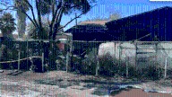 6 cats die in South Bay house fire, family says