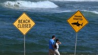 Hombre de 57 años murió luego de un brutal ataque de tiburón en las playas de Sidney, Australia