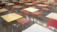 Teacher apologizes after feeding ailing kitten to a classroom snake