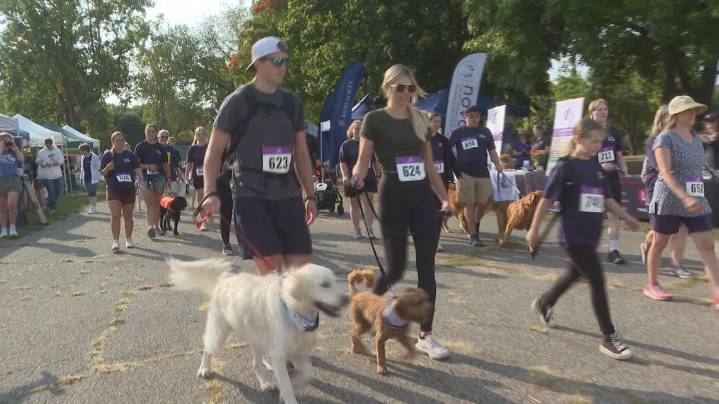Furry friends flood Riverside Park for Paws With A Cause fundraising event