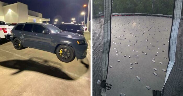 50 Times People Spotted Something ‘Mildly Interesting’ And Documented It For The Internet To See
