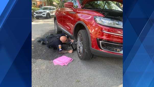 Kitten rescued from car engine compartment by Penn Hills officer