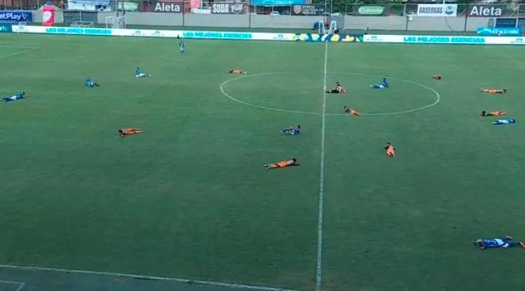 Otra emergencia por abejas: esta vez hicieron suspender el partido entre Envigado y Millonarios
