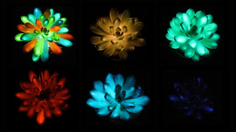 Scientists have created rechargeable, multicolored, glow-in