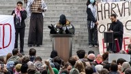 Pro-Palestine Protesters Thinking This Anonymous Guy In Ski Mask Ranting About The Jews Making A Lot Of Sense