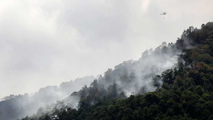 El método mosaico: "la gran aportación del CSIC para prevenir los incendios"