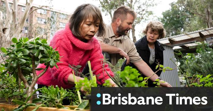 Community gardens Sydney: Why access is vital for older Australians' health and wellbeing