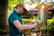 Experts: West Nile activity could increase this year, but state has a ‘scattered’ mosquito response