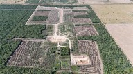 La Provincia frenó un desmonte ilegal de casi 50 hectáreas en el norte santafesino