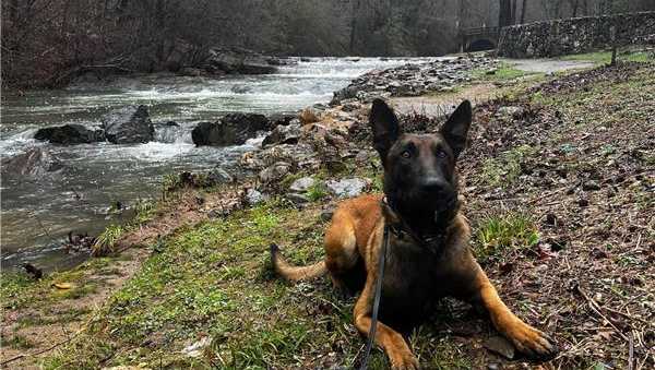 Saunders County K-9 to get bullet and stab proof vest