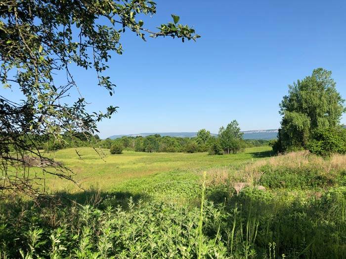 New Paltz Town Council rejects annexation of proposed apartment project