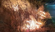 Se incendia predio