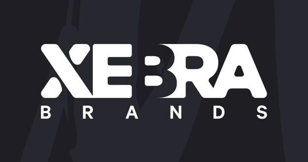 Xebra Brands Announces Update on Share Consolidation