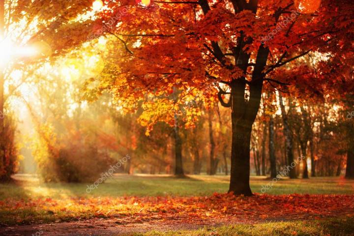 Staying Healthy This Fall: 10 Smart Ways to Avoid Food Poisoning When Temperatures Drop
