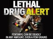 Fentanyl’s prevalence in the market tanking. Politicians claim credit
