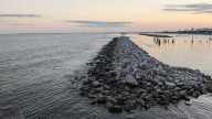 Flesh-eating bacteria causes 5th Louisiana death this year