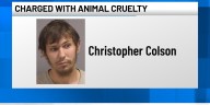 Pittsfield man accused of sexually assaulting dog