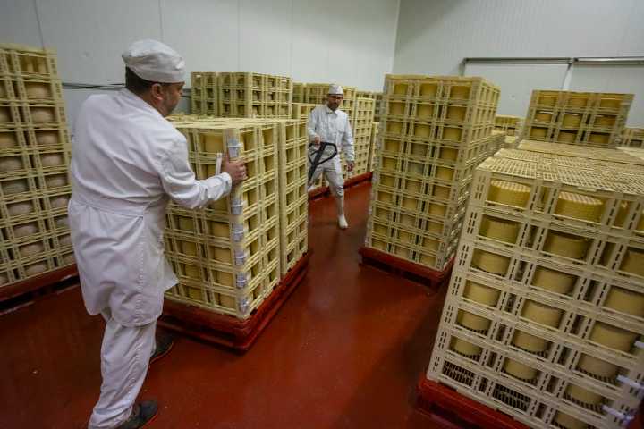 Las nuevas empresas crecen en la región un 7,2% interanual