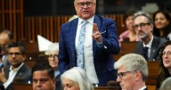CRA delays: Agency hits 'rock bottom,' minister says