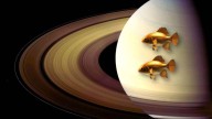 Astrología: los 4 signos bendecidos por Saturno retrógrado en Piscis