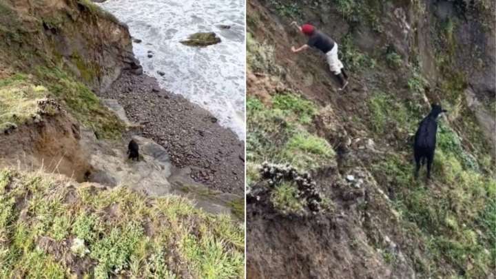 California Hiker Freezes When He Spots A Dark Figure Trapped At the Bottom Of A Steep Cliff