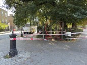Families flee park in horror after man stabbed to death in daylight attack in Camden