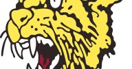 Diamond tops Ash Grove in four sets