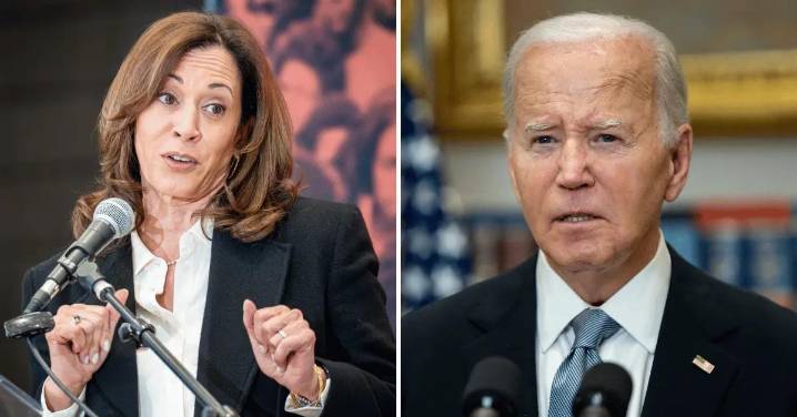 Kamala Harris' 'Hurt and Disappointed' In Relationship with Joe Biden