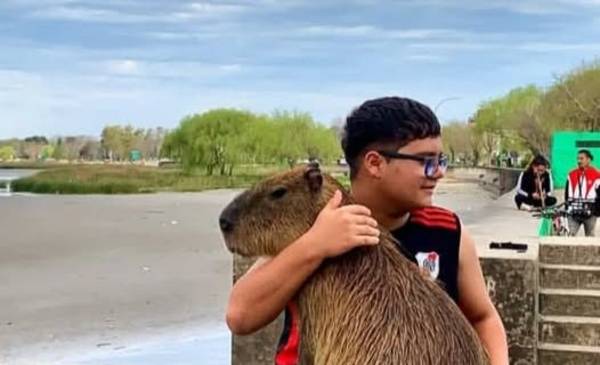 Viral | "Poroto", el carpincho al que todos aprecian en Punta Lara