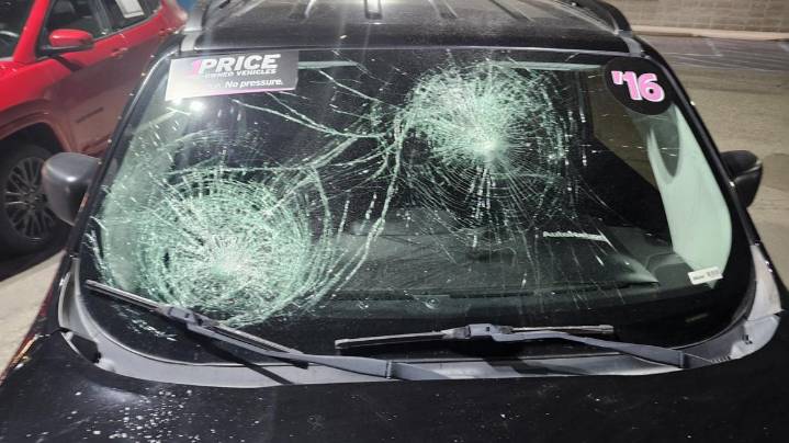 Spokane Police arrest woman suspected of vandalizing 16 cars at downtown Spokane dealership