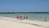Turismo de cruceros fortalece la actividad comercial en el puerto de Progreso