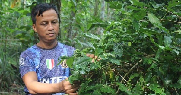 How long can Bangladesh’s indigenous Khasis sustain their forest