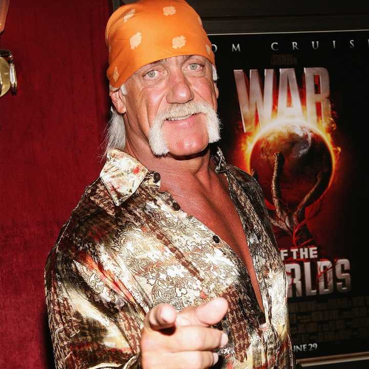 Hulk Hogan's Will: Daughter Brooke Not Included