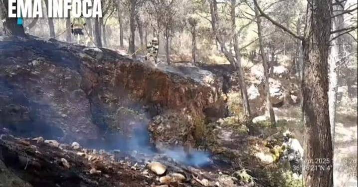 Controlado un incendio forestal próximo a la planta embotelladora de Mijas