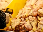 Refuerzan fiscalizaciones en carnicerías de Quillota para resguardar la seguridad alimentaria ad portas de las Fiestas Patrias
