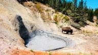 “Total Douche Canoe”: Yellowstone Visitors Furious As Tourist Stumbles On Thin Edge Of Boiling Mudpot