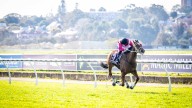 RACING 
                                          Comments
                                        
                                          Premium
                                        Haught