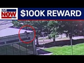 Charlie Kirk shooting suspect manhunt: FBI receives 7K+ tips, leads