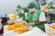 Las agroexportaciones piuranas crecen en 29.9%