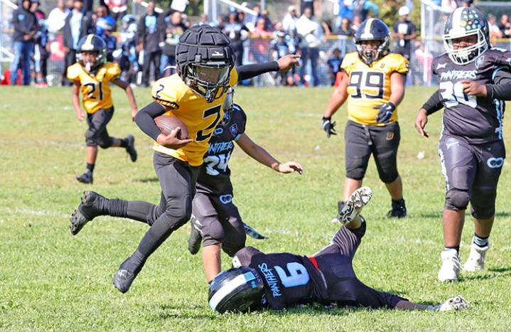 WYFL 8U Scores And Highlights