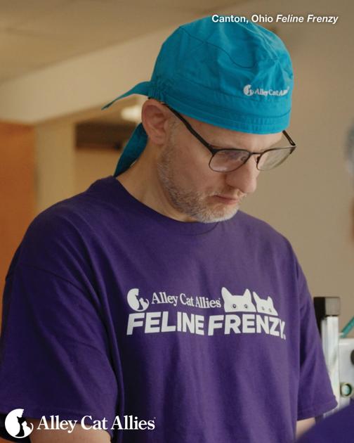 169 Community Cats Spayed or Neutered in One Day at Alley Cat Allies Feline Frenzy® in Canton, Ohio