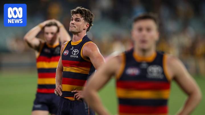 For the Adelaide Crows, the AFL season was a matter of 'what could have been'