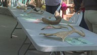 Forest Hills students turn John Ball Zoo into a hands