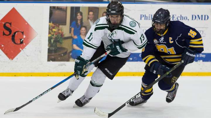 Meet the 29 N.J. hockey alums on NHL training camp rosters