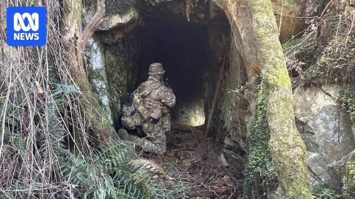 Dezi Freeman search at Porepunkah now Australia's largest tactical police deployment