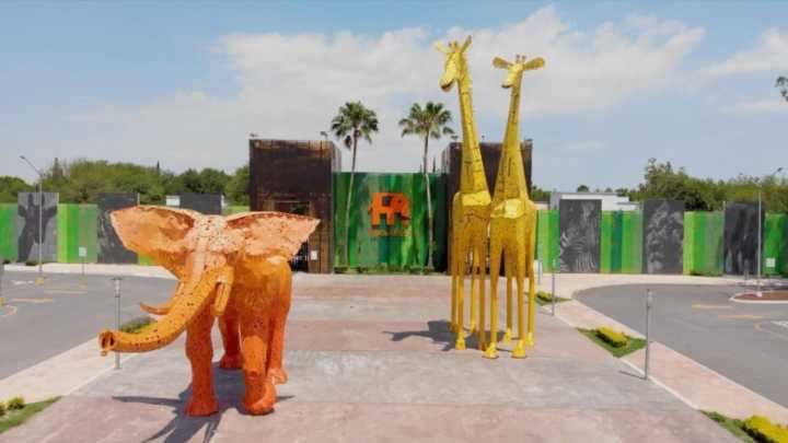 ¿Qué se Sabe del Oso en La Pastora en Monterrey? Esto Dijo el Zoológico