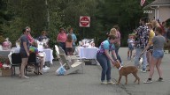 Paws in the Park returns to Nay Aug for 5th year this weekend in Scranton
