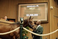 ‘Highest gross ever worldwide’: Keeneland September Yearling Sales sets records