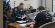 Pedophile suspects arrested in weeks